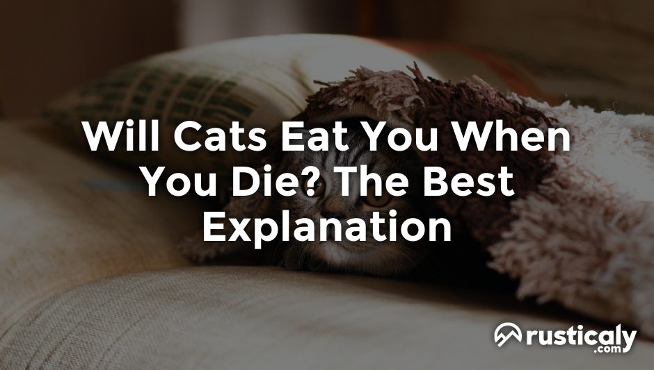 will cats eat you when you die