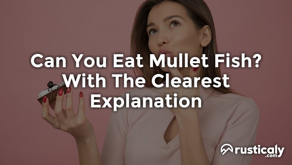 can you eat mullet fish