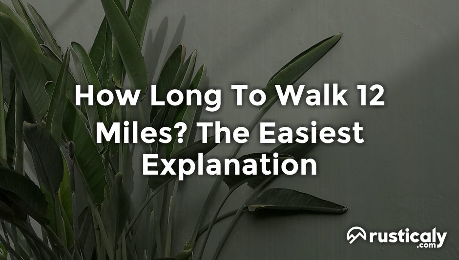 how long to walk 12 miles