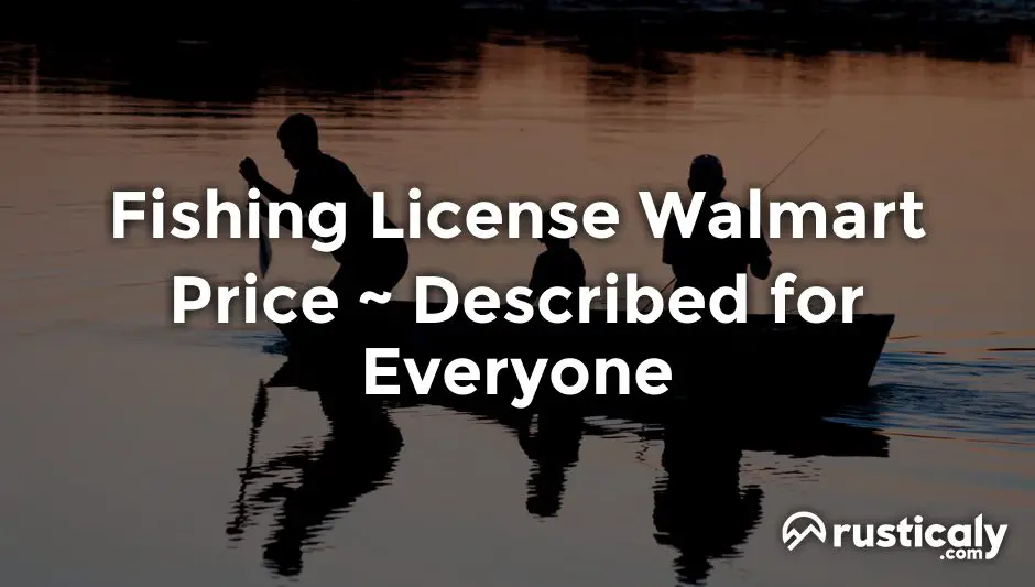 fishing license walmart price