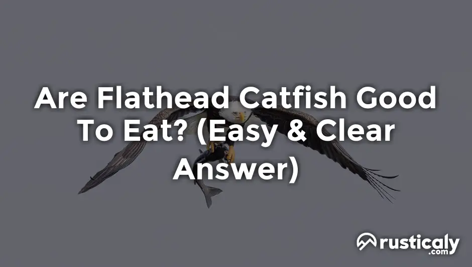 are flathead catfish good to eat