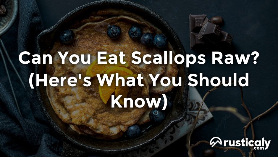 can you eat scallops raw