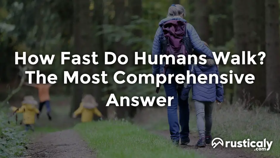 how fast do humans walk