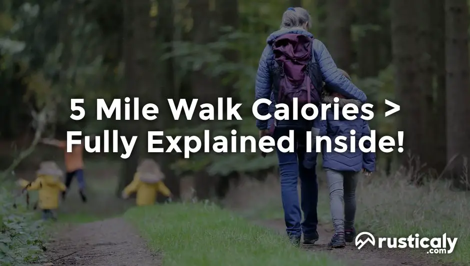 5 mile walk calories