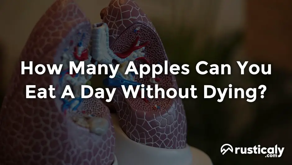 how many apples can you eat a day without dying