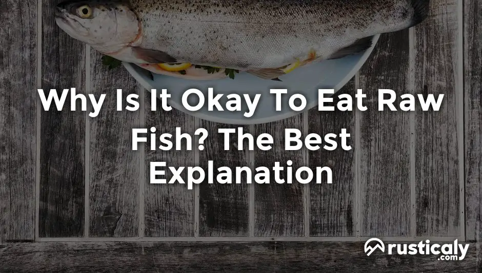 why is it okay to eat raw fish
