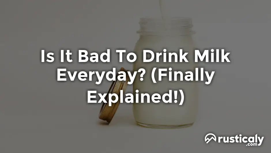 Is It Bad To Drink Milk Everyday? (Described for Everyone)