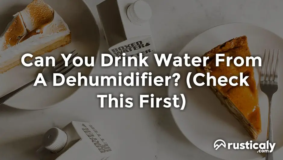 can you drink water from a dehumidifier