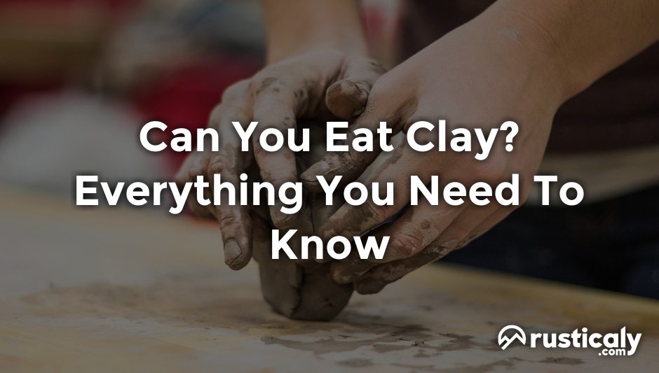 can you eat clay