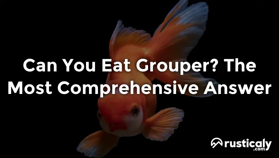 can you eat grouper