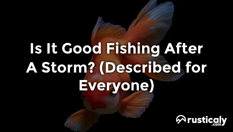 is it good fishing after a storm