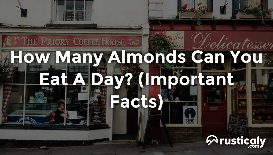 how many almonds can you eat a day