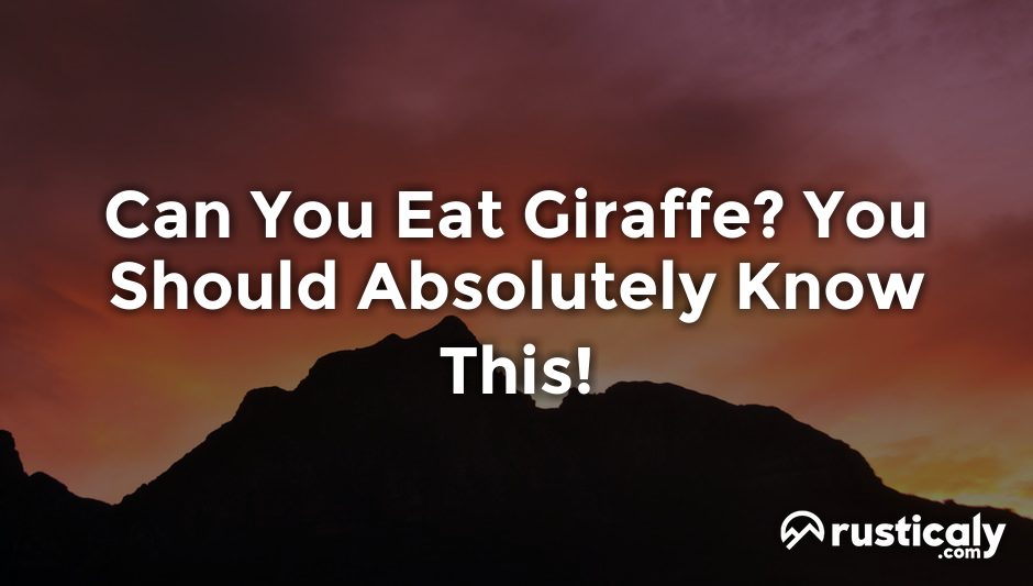 can you eat giraffe