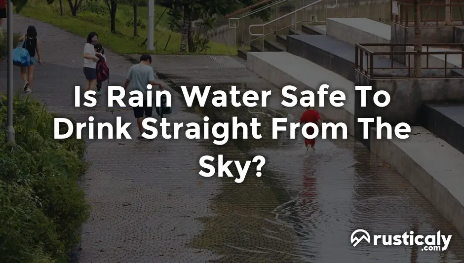 is rain water safe to drink straight from the sky