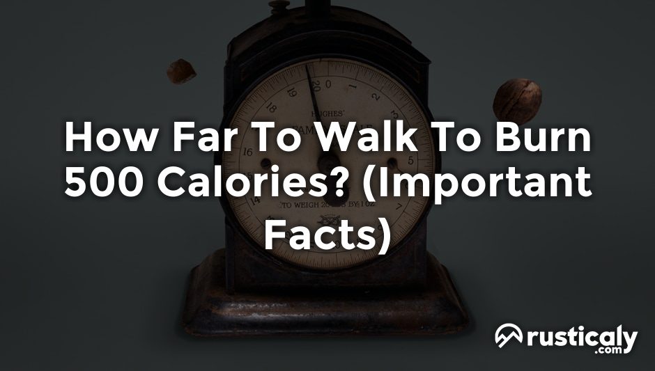 how far to walk to burn 500 calories