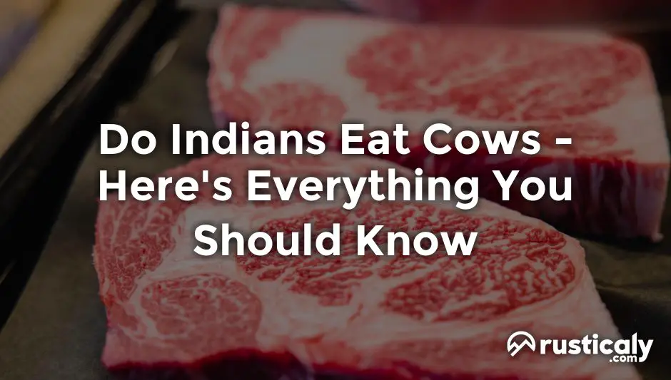 do indians eat cows