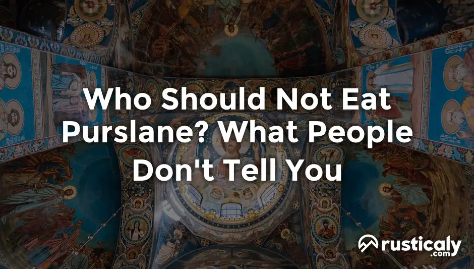 who should not eat purslane