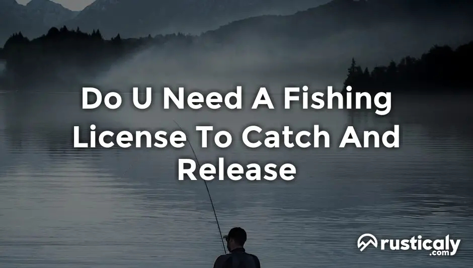 do u need a fishing license to catch and release