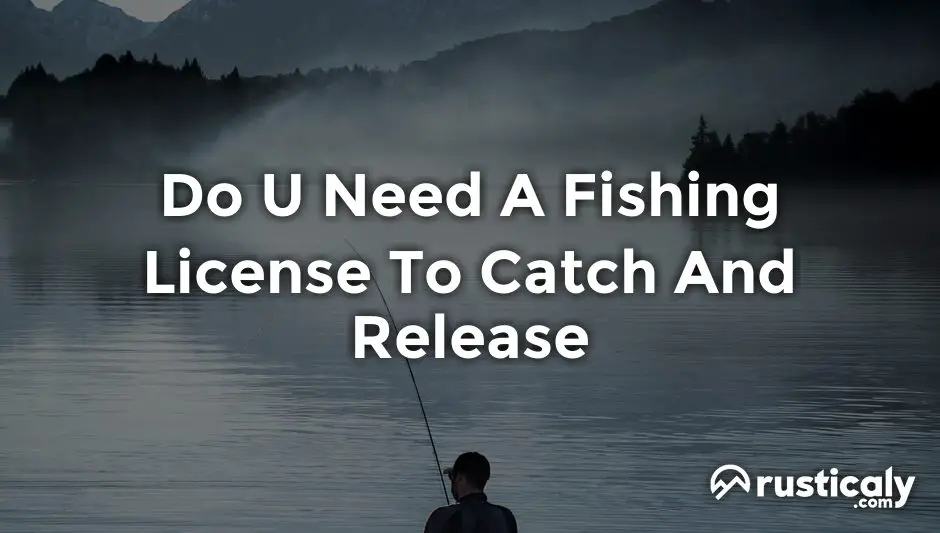 Do U Need A Fishing License To Catch And Release