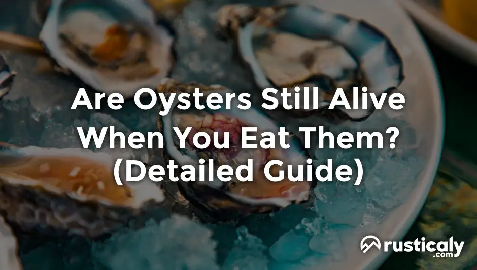 are oysters still alive when you eat them