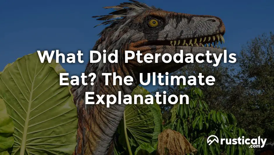 what did pterodactyls eat