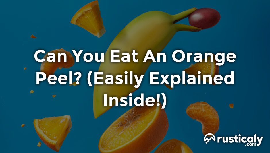 can you eat an orange peel
