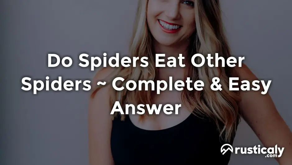 do spiders eat other spiders
