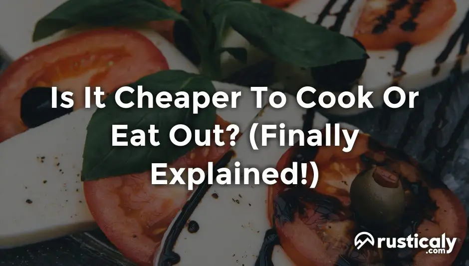 Is It Cheaper To Cook Or Eat Out? (Easy & Clear Answer)