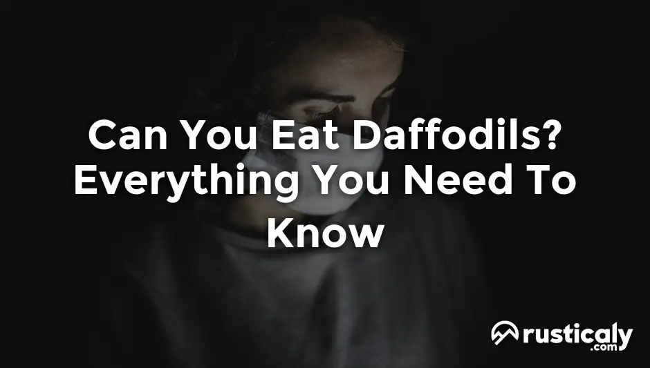 Can You Eat Daffodils? The Most Comprehensive Answer
