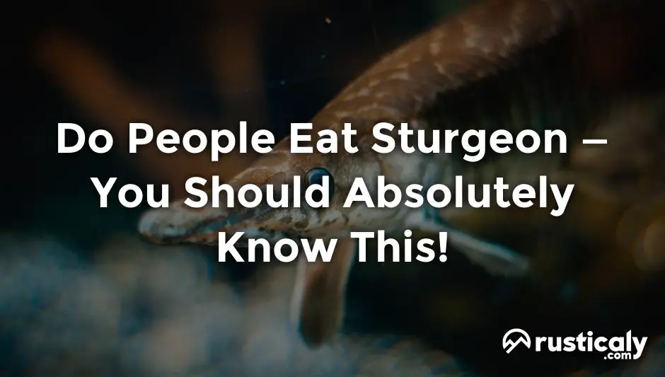 do people eat sturgeon