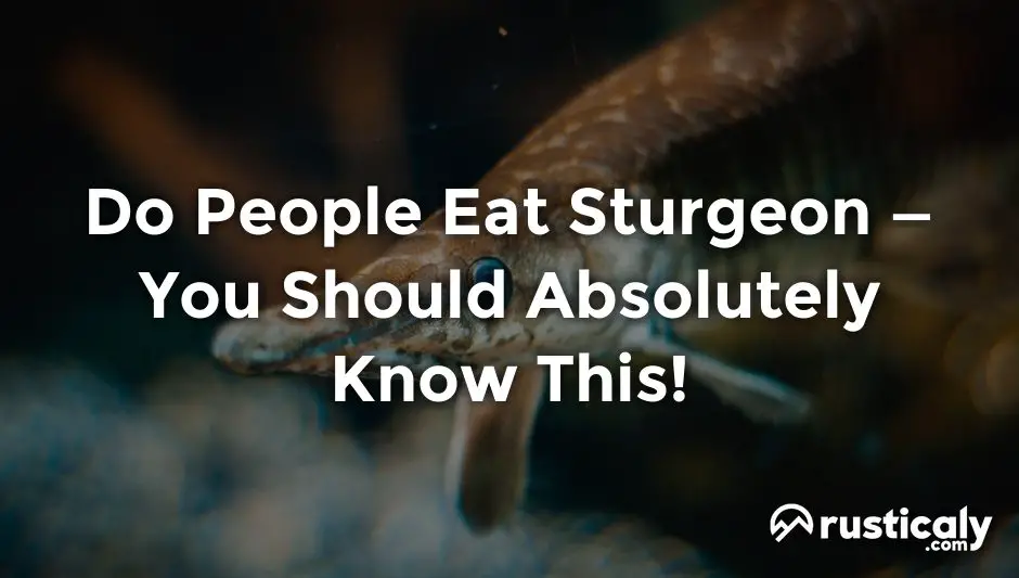 Do People Eat Sturgeon • With The Clearest Explanation