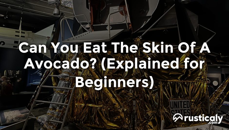can you eat the skin of a avocado