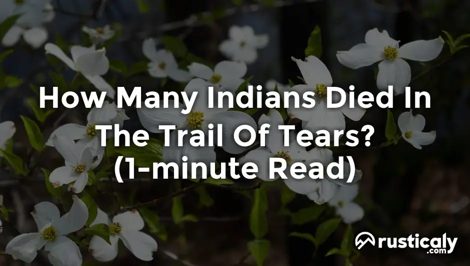 how many indians died in the trail of tears