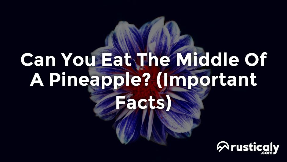 can you eat the middle of a pineapple