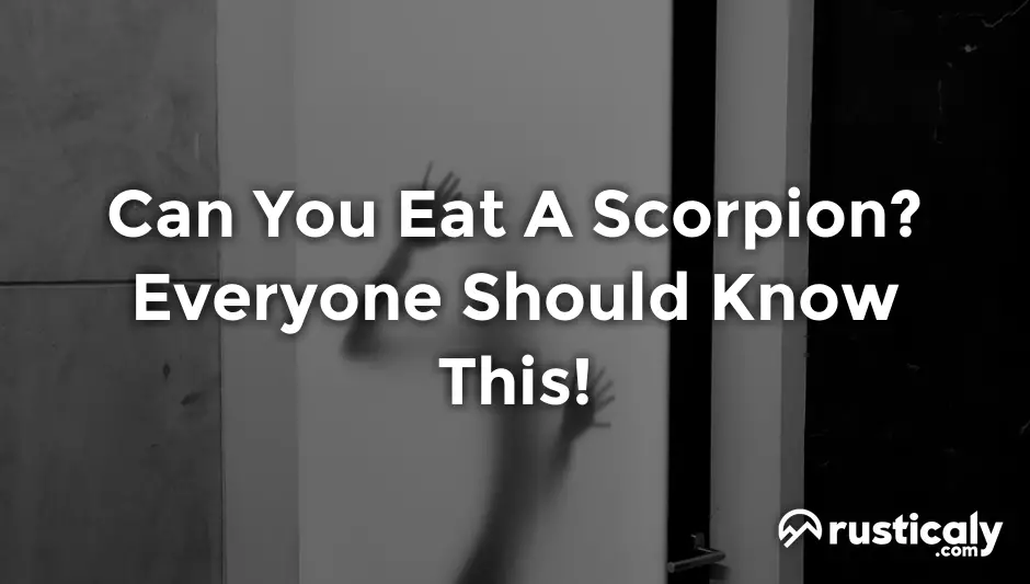 can you eat a scorpion