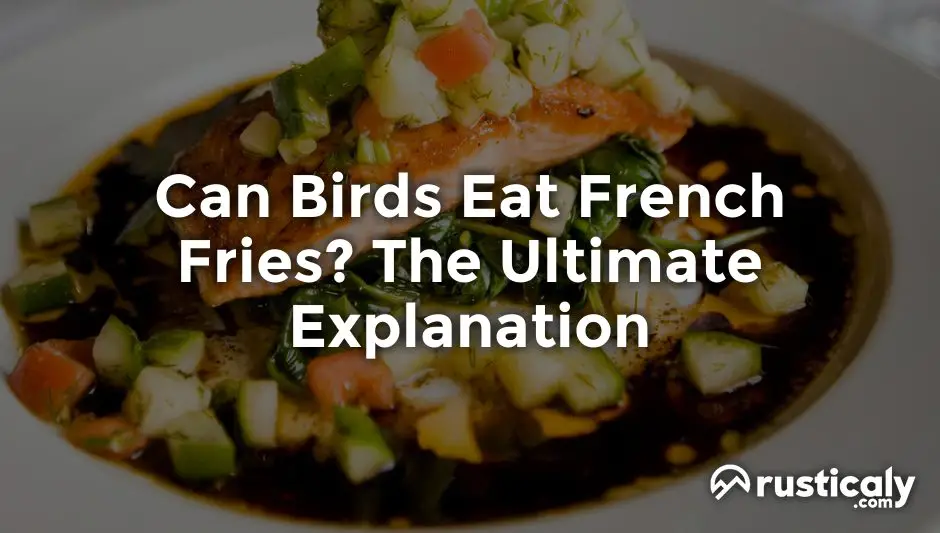can birds eat french fries