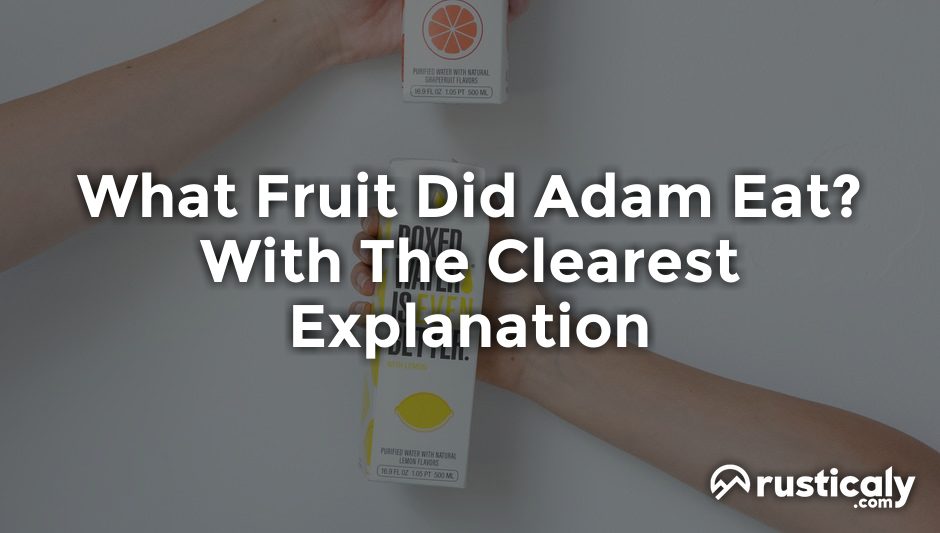 what fruit did adam eat