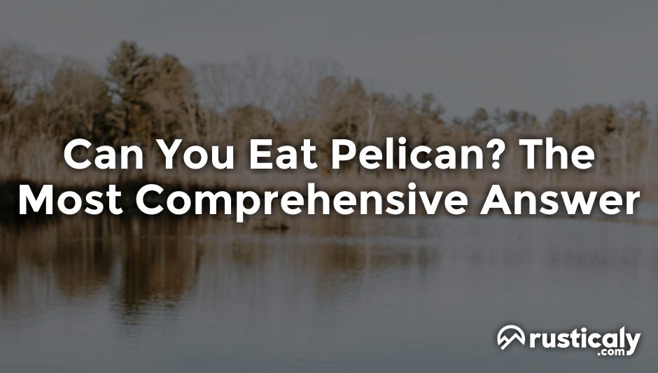 can you eat pelican