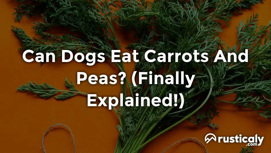 can dogs eat carrots and peas
