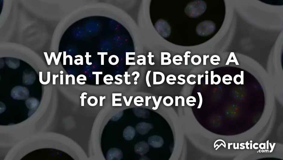 what to eat before a urine test