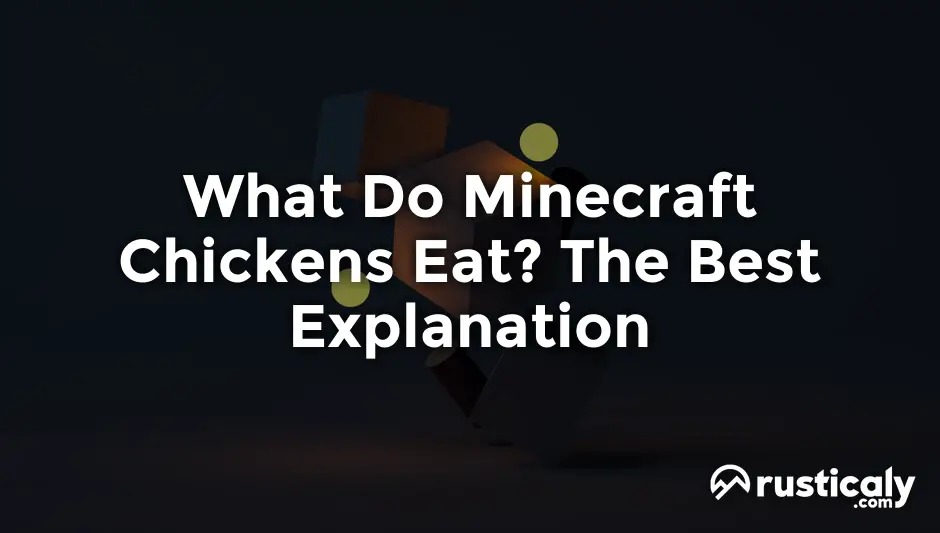 what do minecraft chickens eat