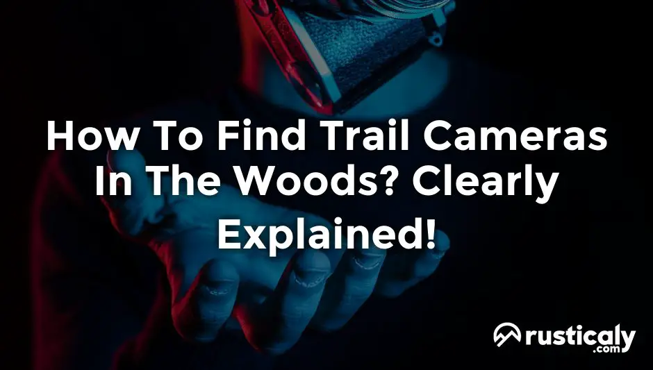 how to find trail cameras in the woods