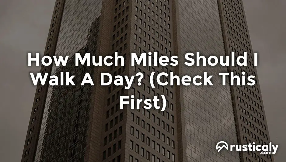 how much miles should i walk a day