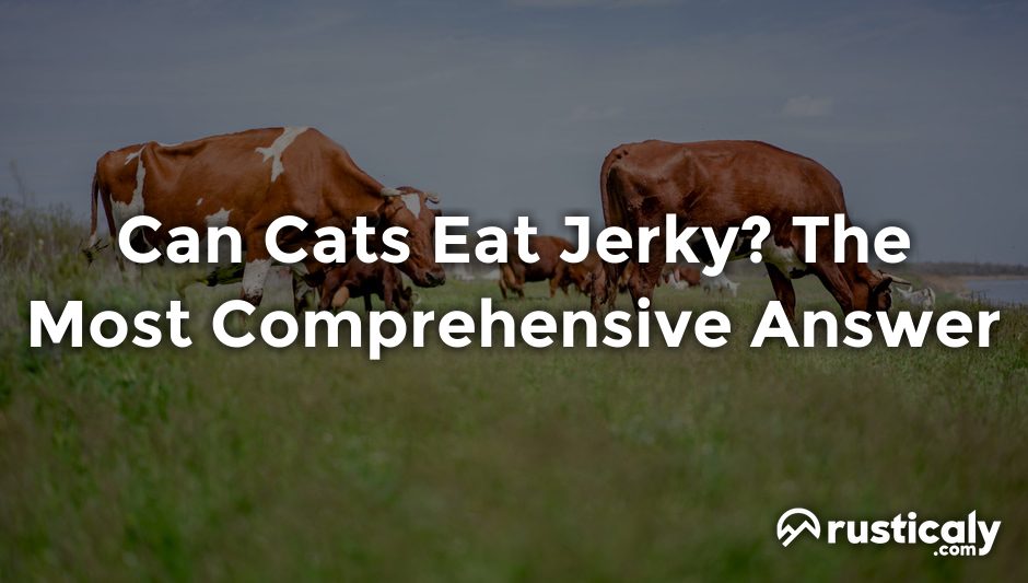 can cats eat jerky