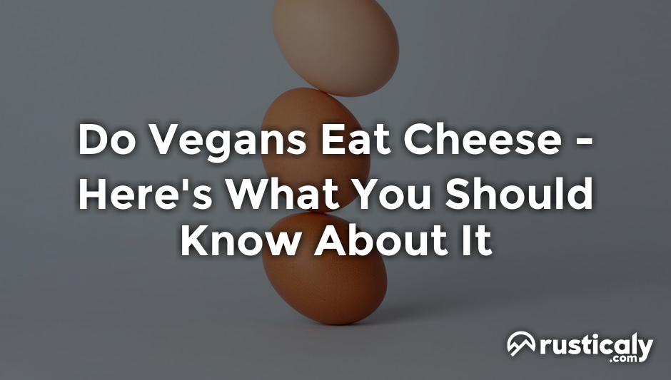 do vegans eat cheese