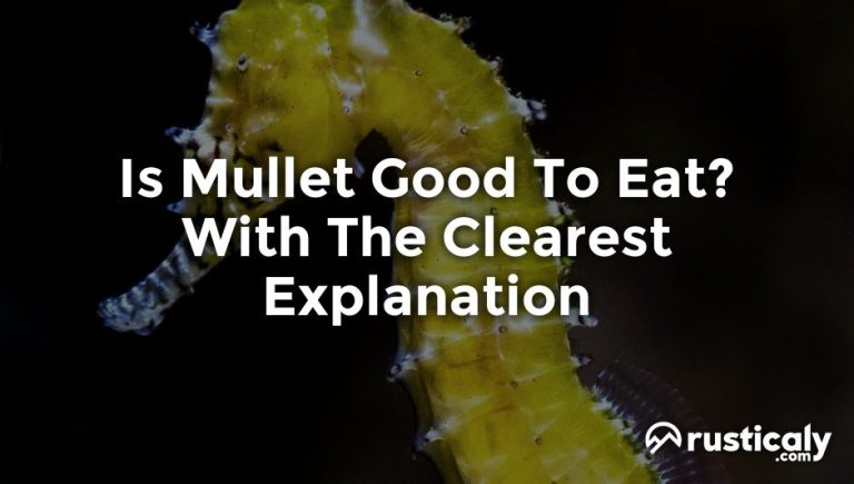 is mullet good to eat