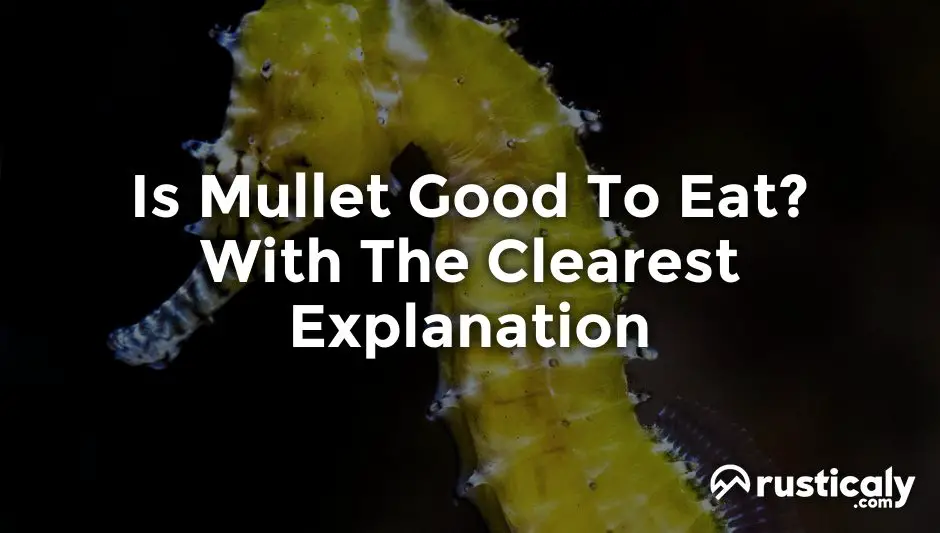 is mullet good to eat