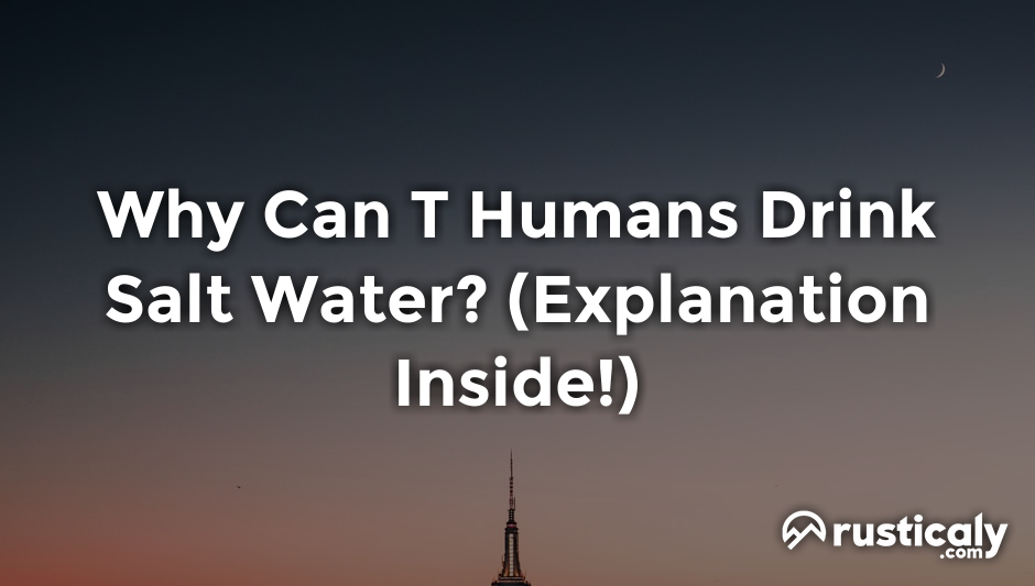 why can t humans drink salt water