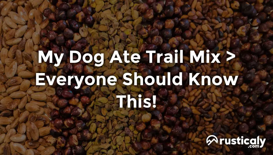 my dog ate trail mix