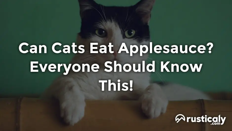 can cats eat applesauce